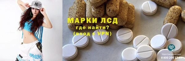 прущие грибы Аркадак