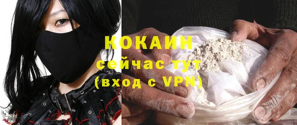 прущие грибы Аркадак