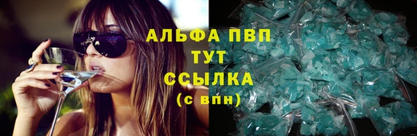 прущие грибы Аркадак