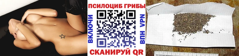 Галлюциногенные грибы MAGIC MUSHROOMS  цены   Спасск 